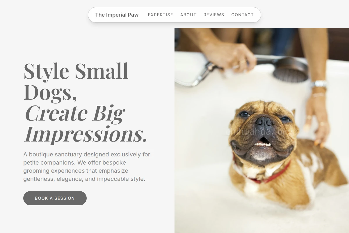 Salon Pet Grooming