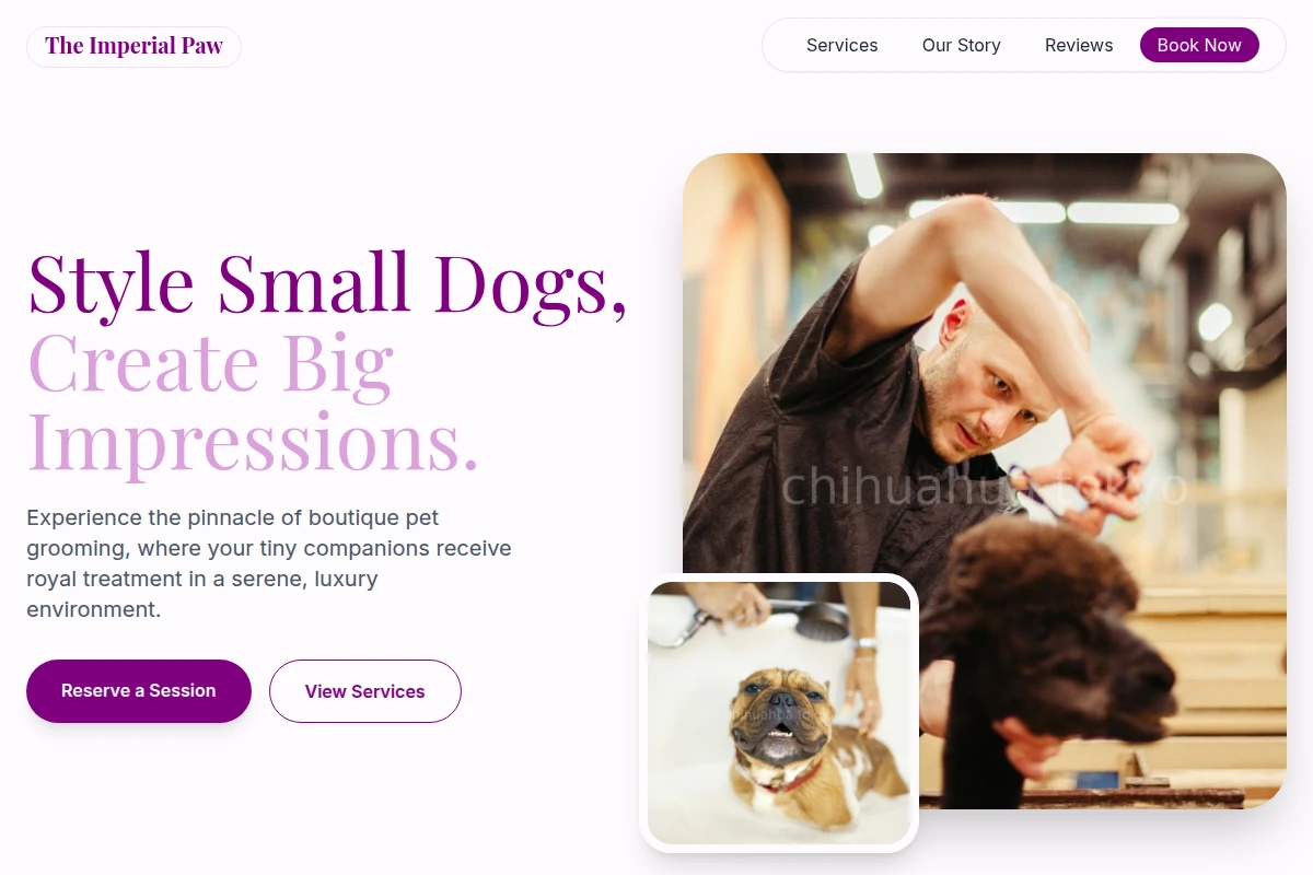 Chic Pet Grooming