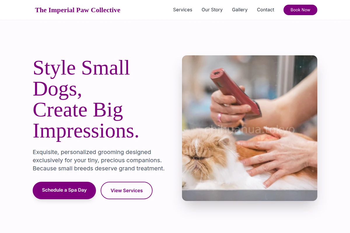 Shampoo Pet Grooming