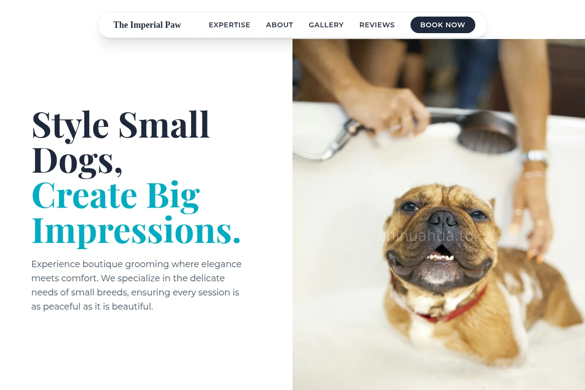 Velvet Pet Grooming