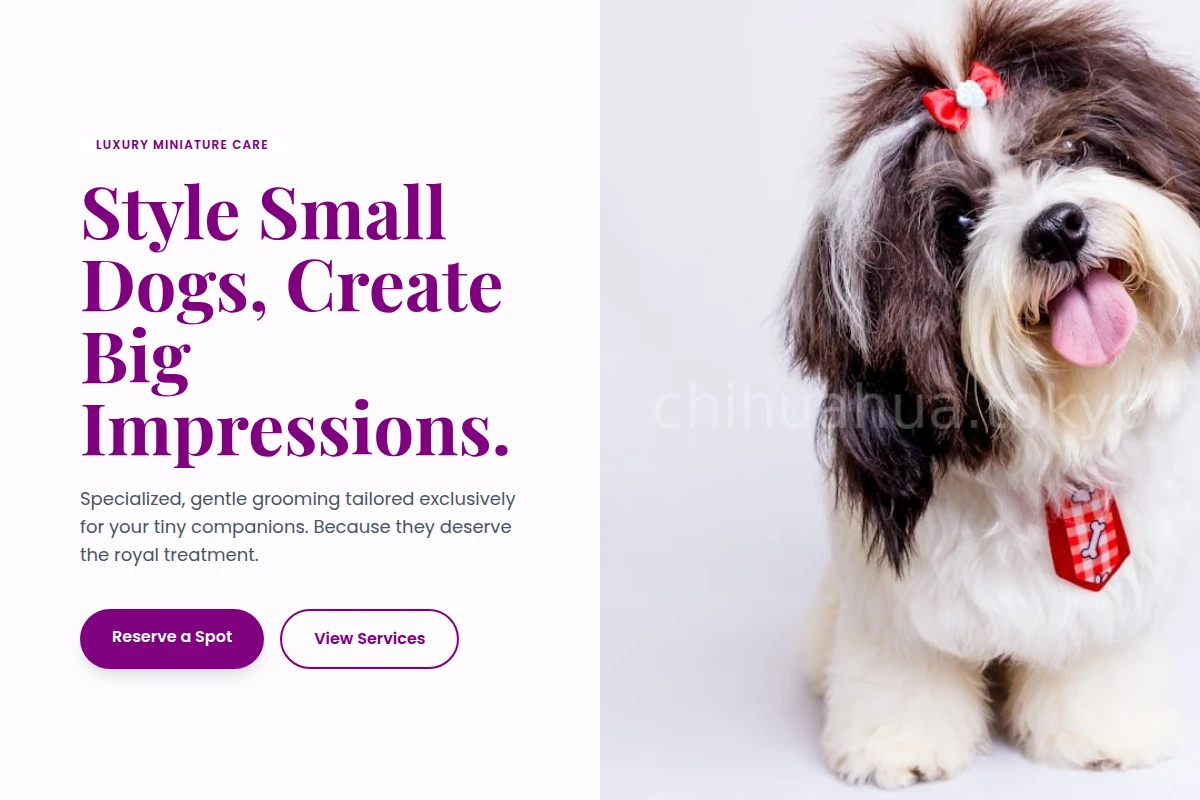 Miniature Pet Grooming
