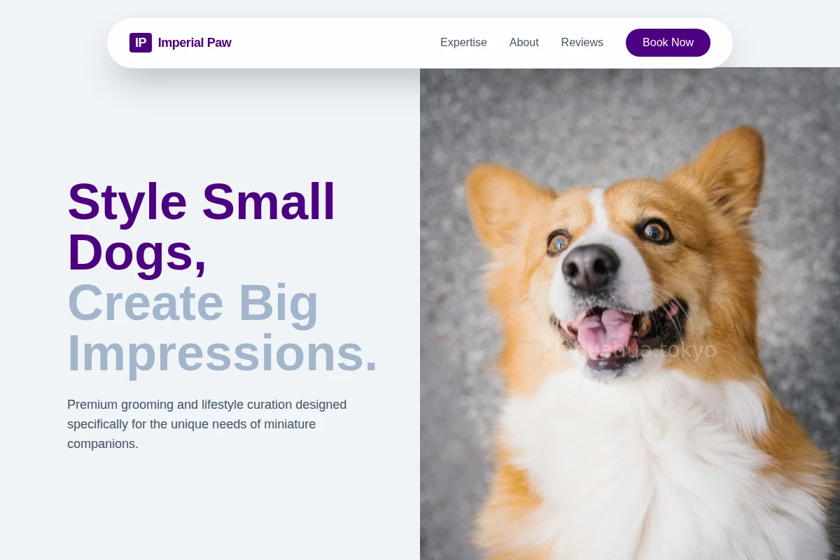 Miniature Pet Services