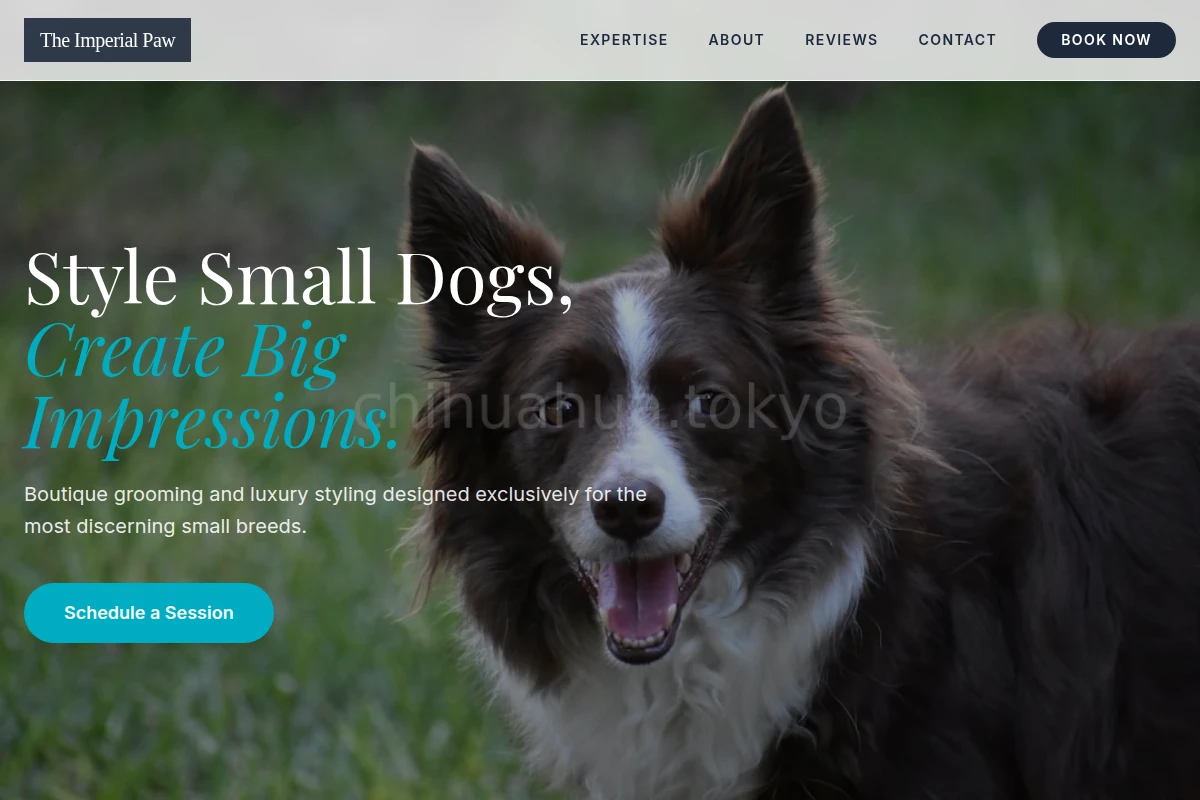 Bow Pet Services