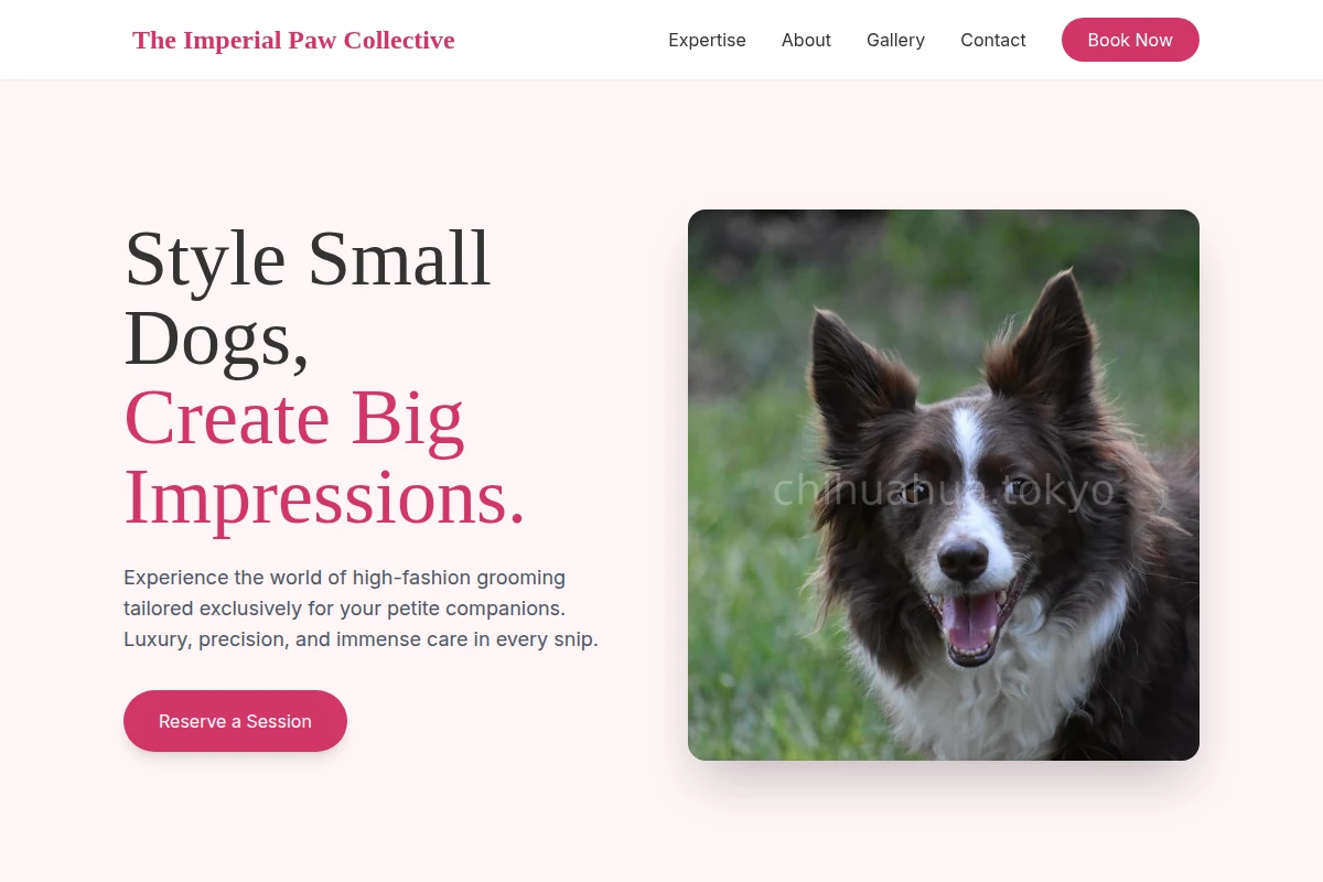 Detail Pet Services