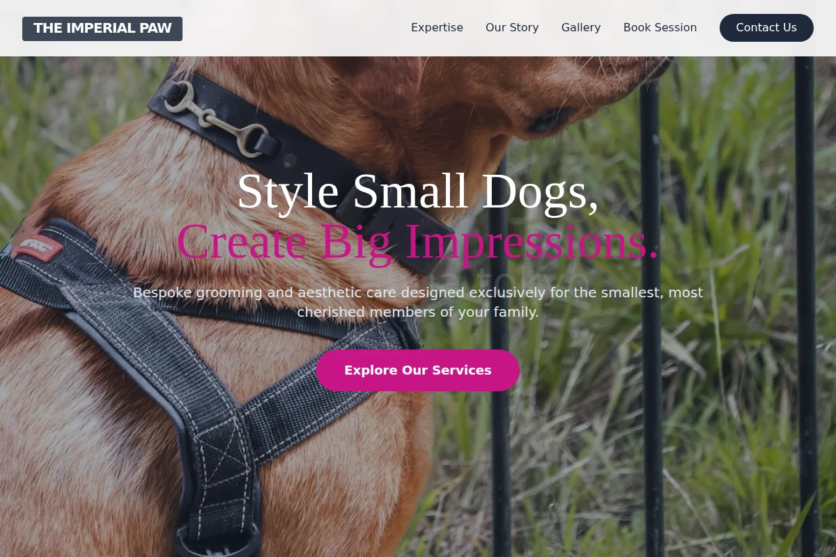 Charm Pet Services