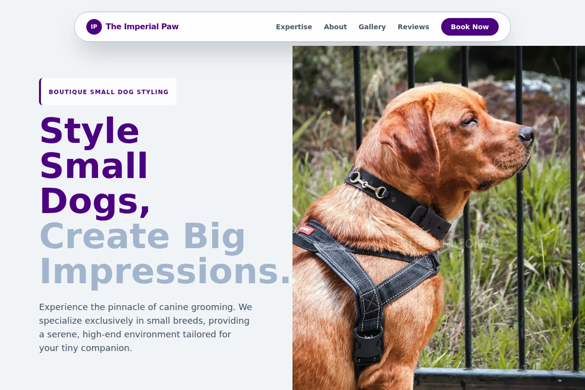 Clip Pet Services