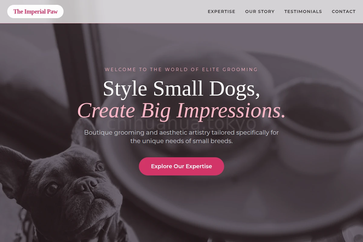 Expert Pet Services