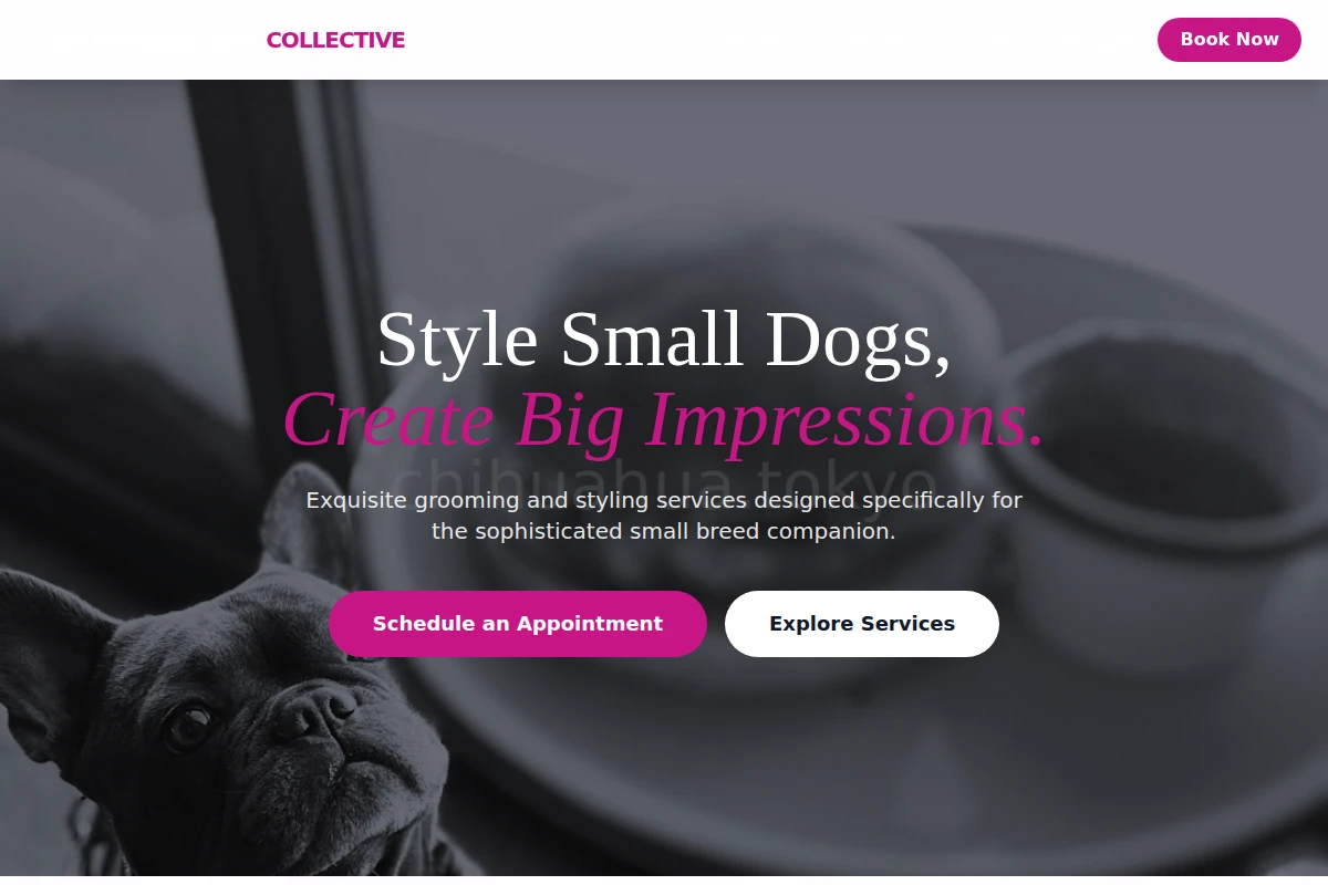 Boutique Pet Services