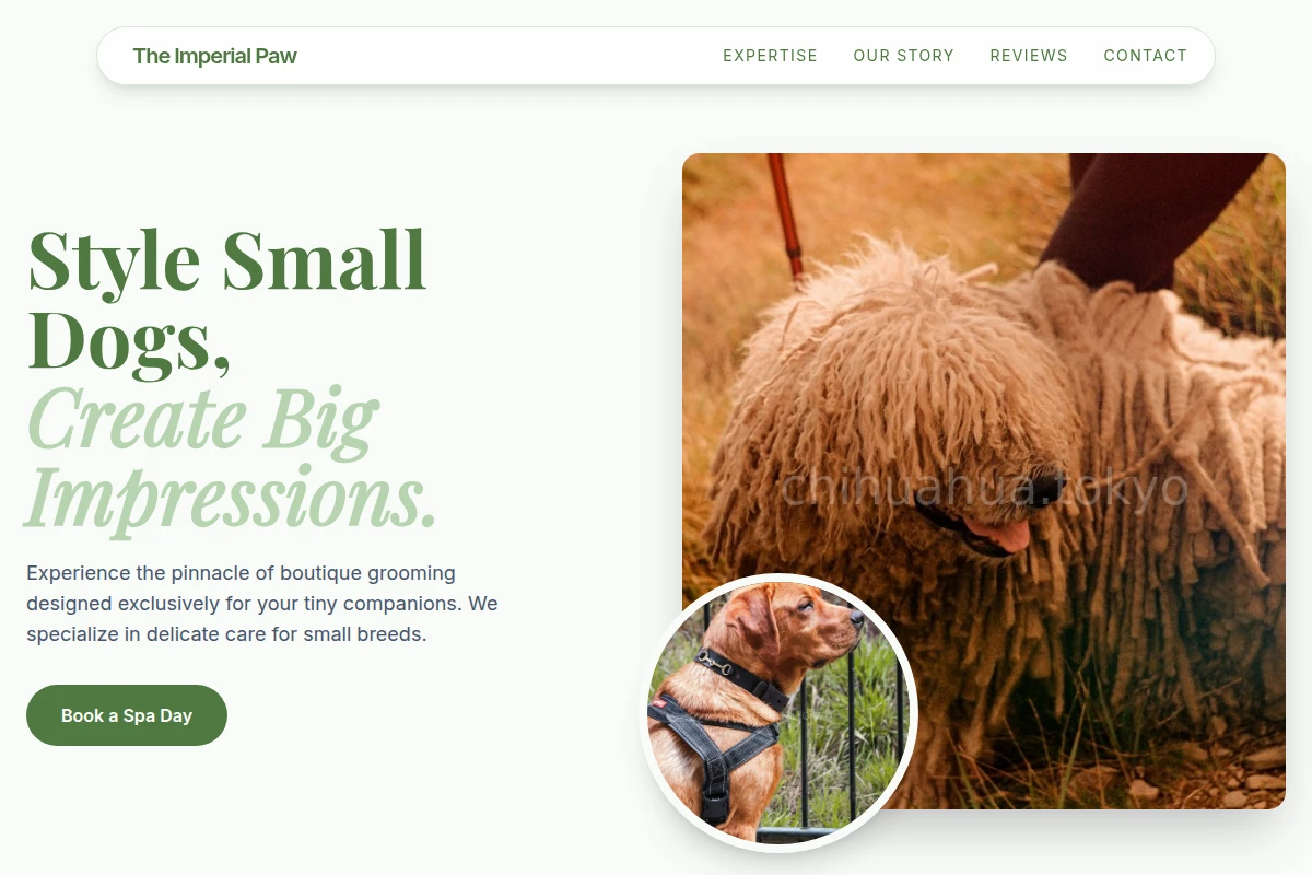 pet-services