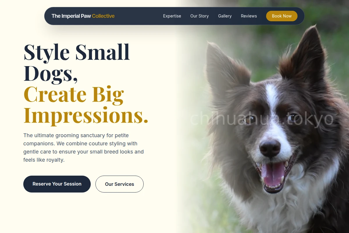Coat Pet Services