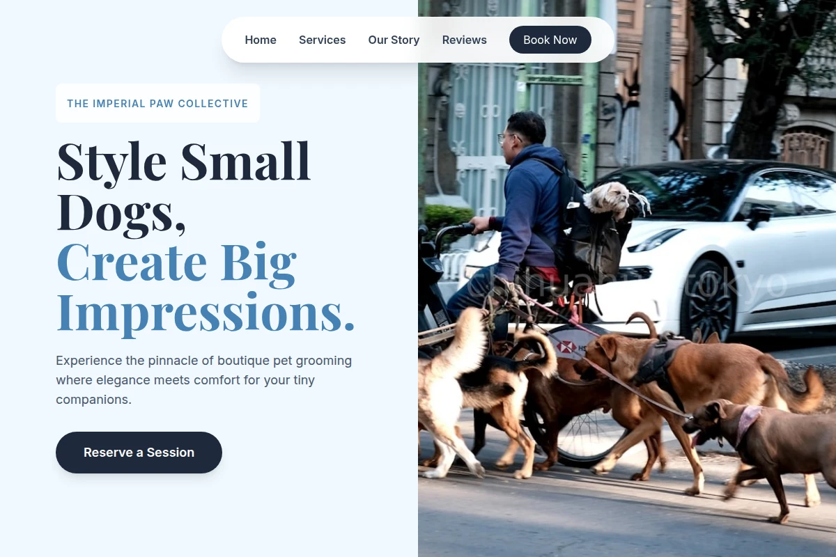 Bond Pet Services