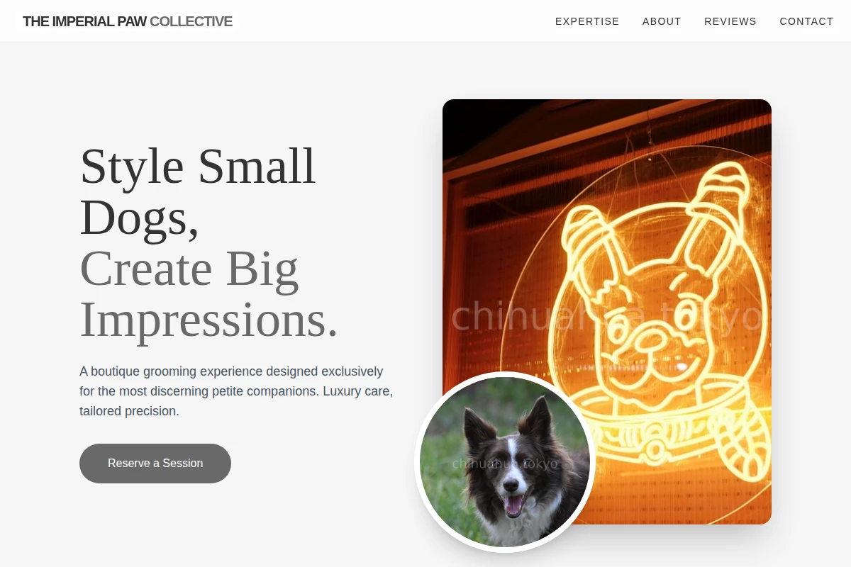 Style Pet Services