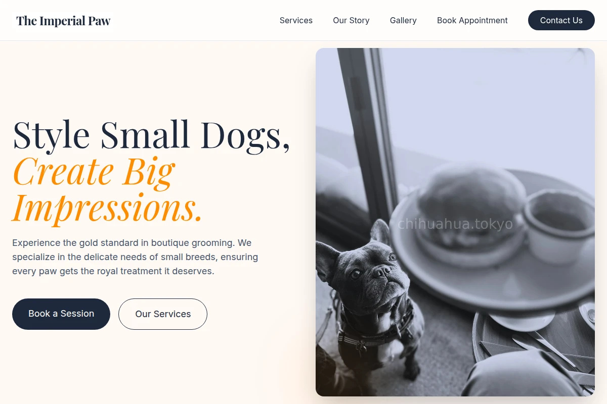 Collar Pet Services