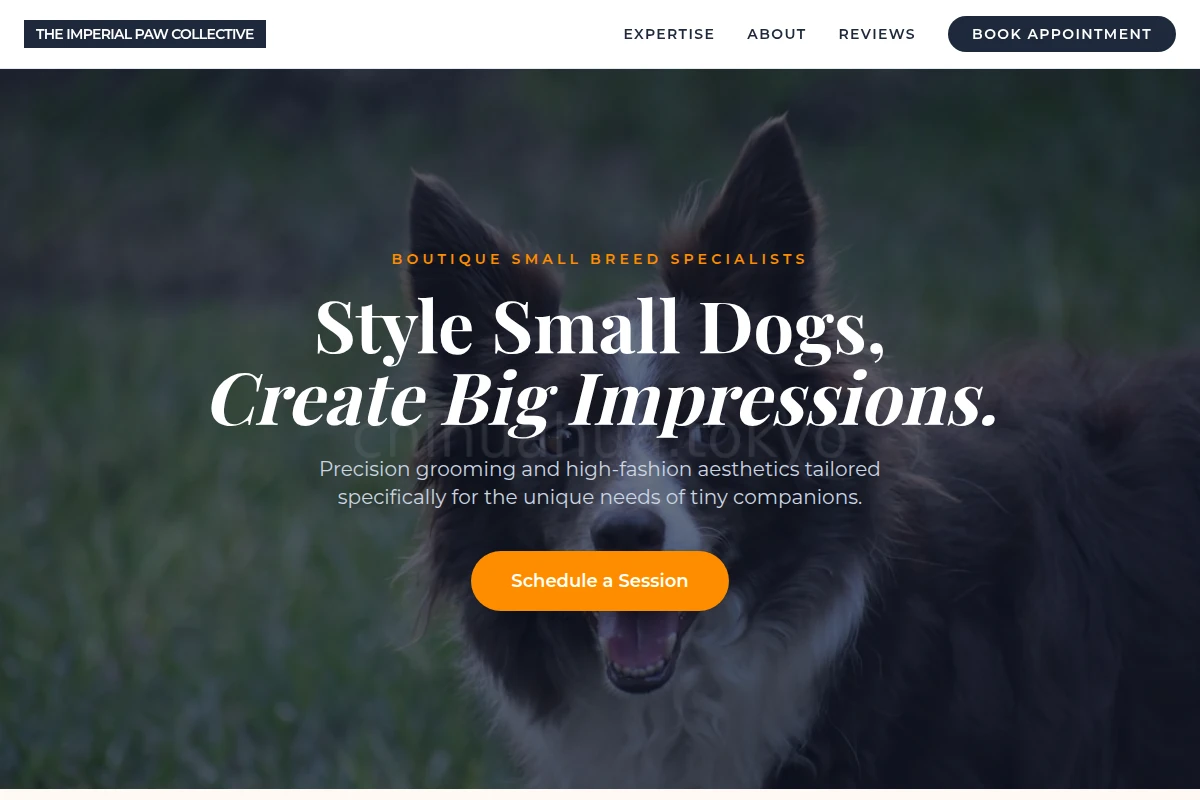 Chic Pet Services